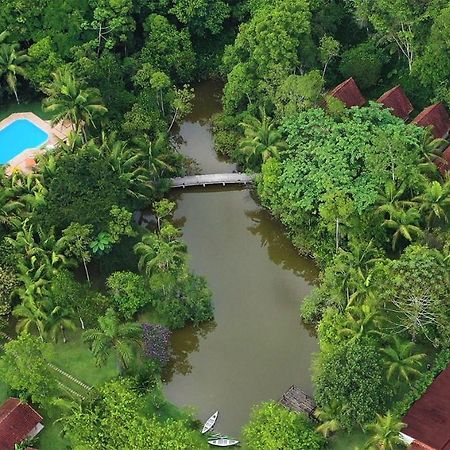 Pousada Salve Floresta Tapiraí Kültér fotó