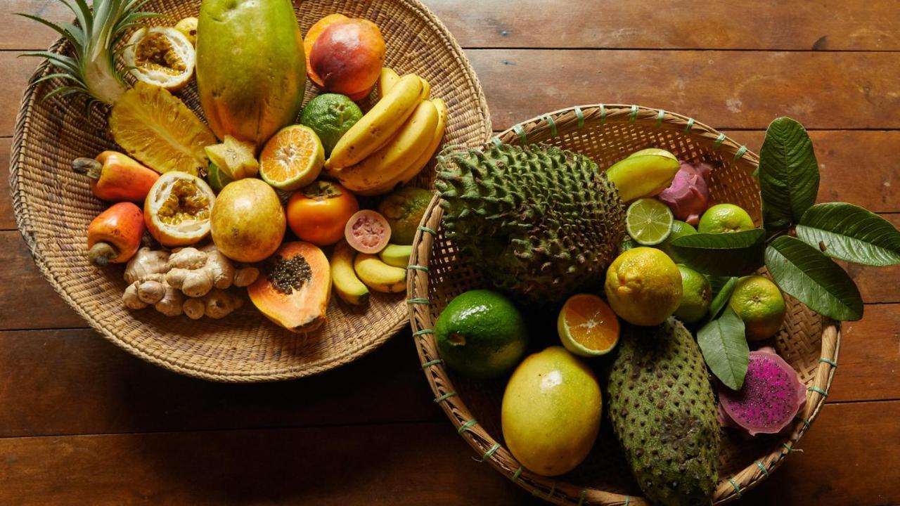 Pousada Salve Floresta Tapiraí Kültér fotó