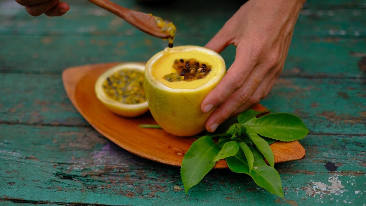 Pousada Salve Floresta Tapiraí Kültér fotó
