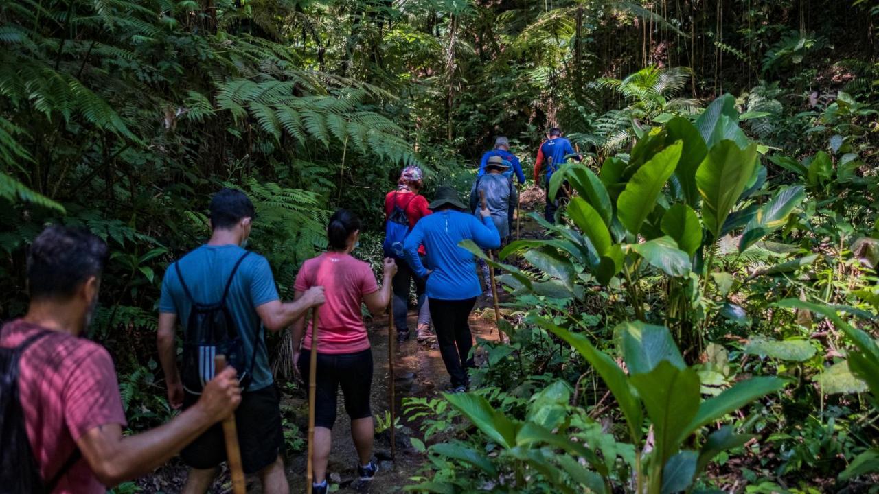 Pousada Salve Floresta Tapiraí Kültér fotó